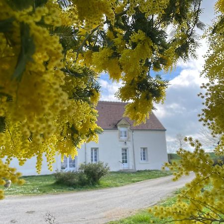 Gracay Les Mimosasヴィラ エクステリア 写真