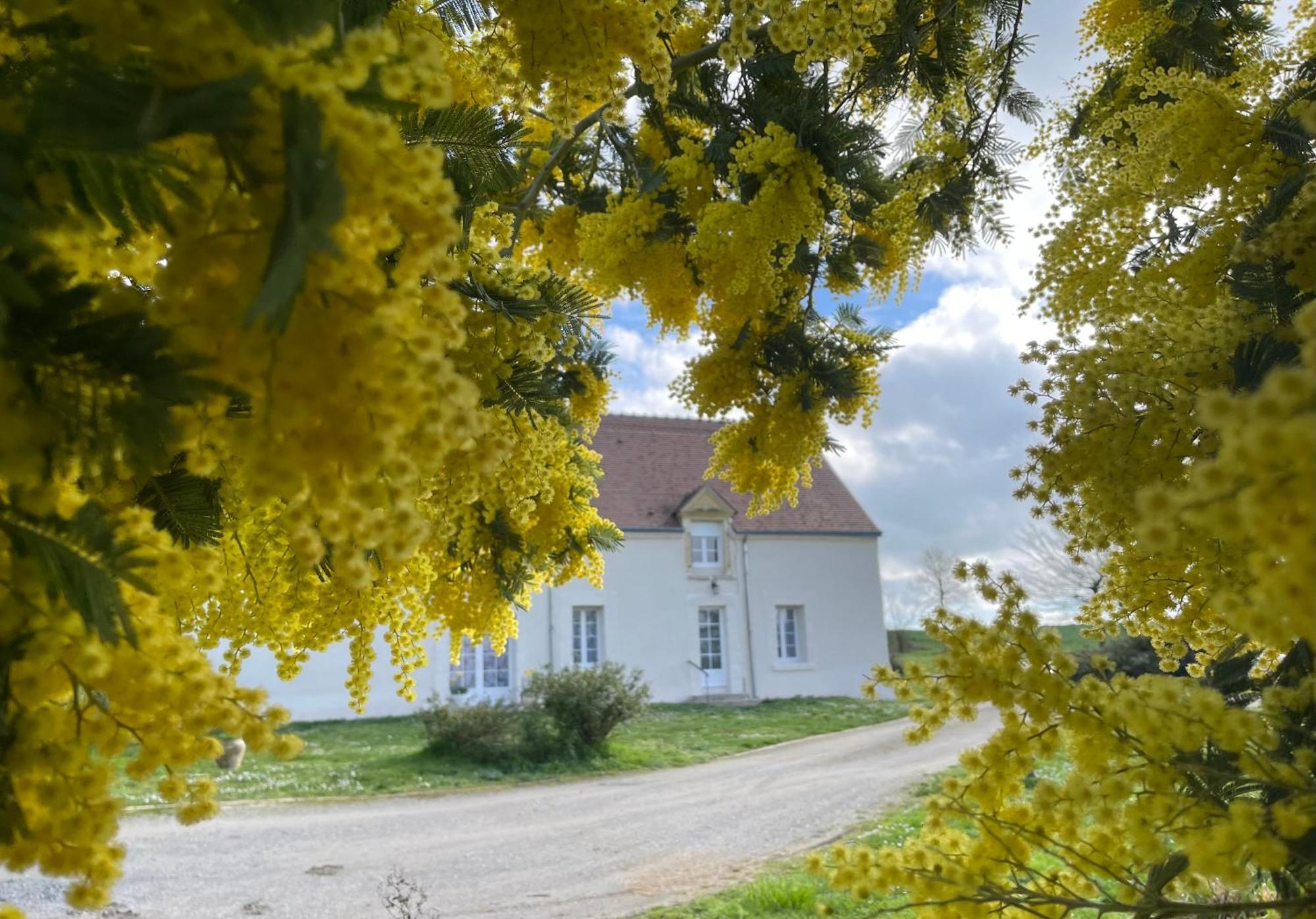 Gracay Les Mimosasヴィラ エクステリア 写真